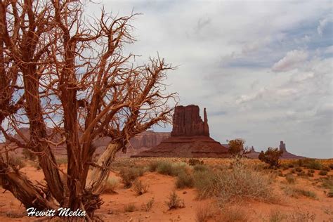 The One Stop Monument Valley Guide For Travelers Visiting Southern Utah