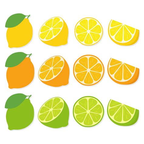 Fresh Lemon Limeorange Fruits Icon Icons ~ Creative Market