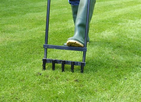 When To Aerate Lawn Lawn Problems 7 Things Your Lawn Is Trying To