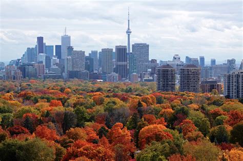 Fall Colours In Toronto Top Foliage Spots For Your Instagram Tourism