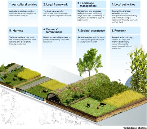Agricultural Landscape Design