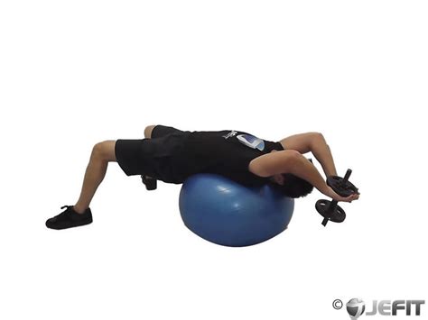 Dumbbell Lying Pullover On Exercise Ball Exercise Database Jefit