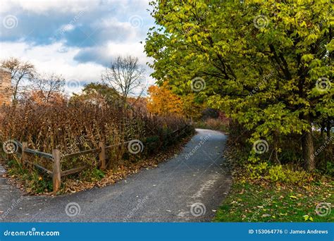 Rustic Autumn Trail With Fence In Lincoln Park Chicago Stock Photo