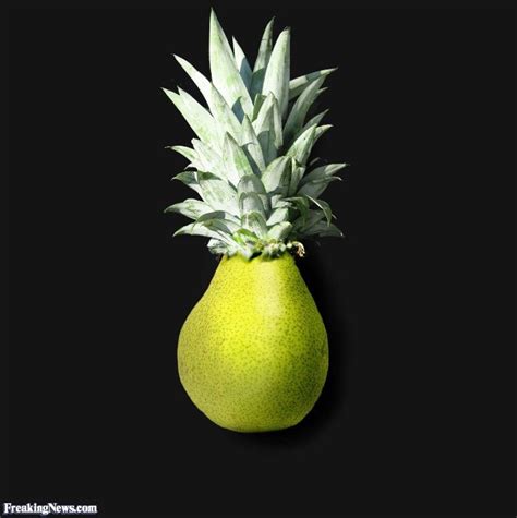 Pear And Pineapple Hybrid Vegetable Pictures Fruits And Vegetables
