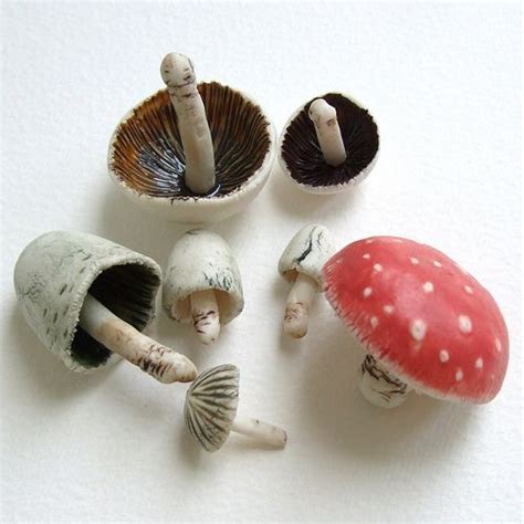 Mushroom Collecting By C Urchin Porcelain Jewelry Cold Porcelain