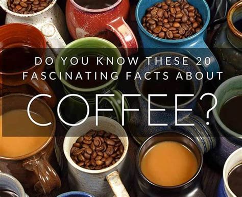 Do You Know These 20 Fascinating Facts About Coffee