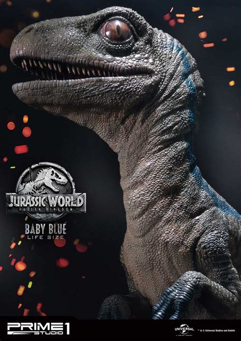 Back before i joined skindex, i edited a blue that someone made. Jurassic World: Fallen Kingdom - Life Size Baby Blue ...