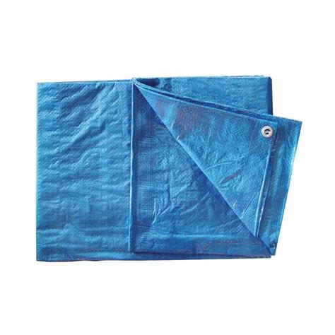 Bon Tool 20 Ft X 30 Ft Blue Poly Tarp In The Tarps Department At