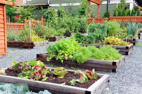 23 Planting A Backyard Vegetable Garden Ideas You Cannot Miss Sharonsable