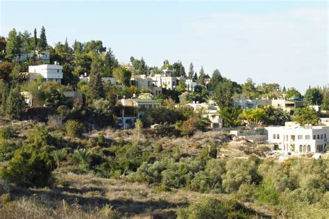 The Village — Oasis of Peace