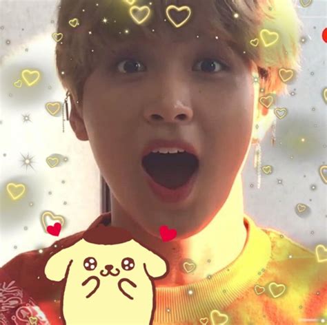 Lee Donghyuck Pompompurin Sanrio Icons Reqs Closed Nct Nct Dream Cute Icons