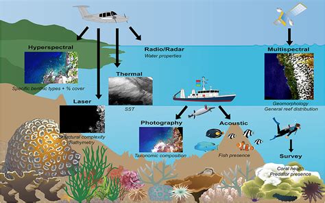 Frontiers Scaling Up Coral Reef Restoration Using Remote Sensing