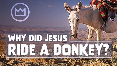 Why Did Jesus Ride A Donkey A Humble King — The Exalted Christ