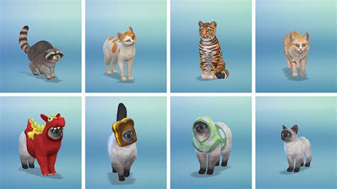 When Does The Sims 4 Cats And Dogs Come Out Catwalls