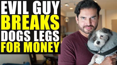 Guy Breaks Dogs Legs Creates Fake Gofundme Scam Youtube