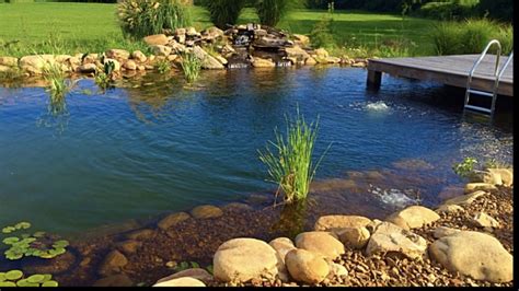 A Picture Of The First Summer With This Beautiful Recreational Pond