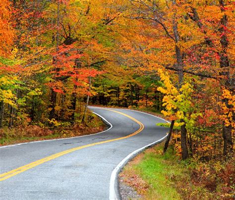 Safe Fall Driving Tips Mintz Law Firm