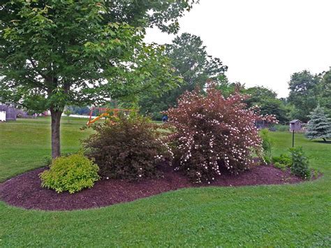 Image Result For Front Yard Berms Burm Landscaping Privacy Landscaping