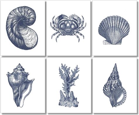 Coastal Decor Set B Vintage Sea Shell Art Prints Nautical Art Set Of 2
