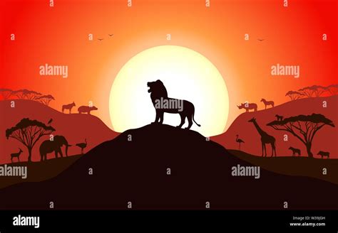 Male African Lion Roaring Stock Vector Images Alamy