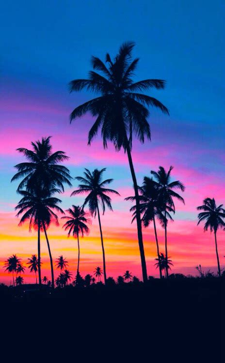 Neon Palm Trees Tumblr