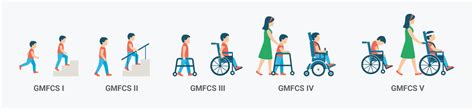 The Gross Motor Function Classification System Gmfcs For Cerebral Palsy