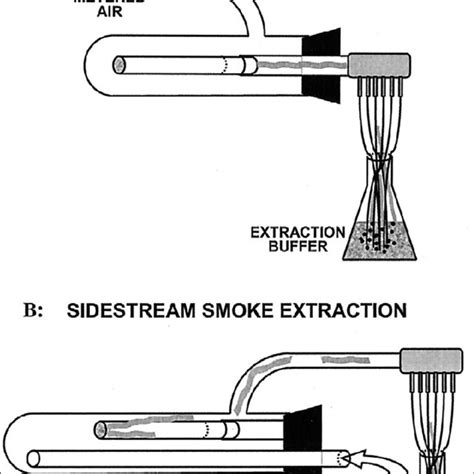 Difference Of Mainstream And Sidestream Cigarette Smoke Exposure Download Scientific Diagram