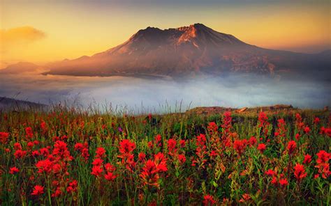 Mt St Helens Wallpapers Wallpaper Cave