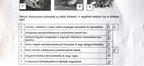 Íme a feladatlapok és a megoldások. Érettségi-felvételi: Nektek megy a fotoszintézis? Itt ...