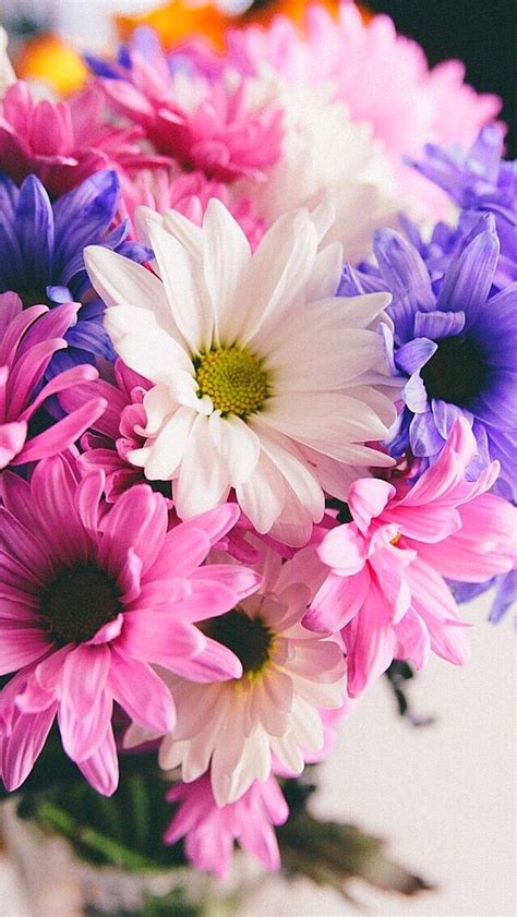 Wallpaper iPhone | Beautiful flowers, Purple flowers wallpaper, Flower