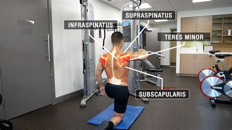 Shoulder Exercises For Rotator Cuff Injury