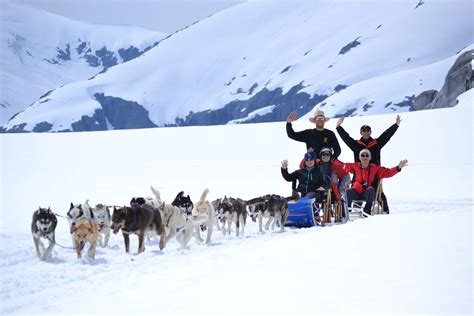 What Is Dog Mushing In Alaska