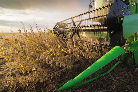Brazil Soybean Harvest Behind Last Years Pace 2021 02 19 World Grain