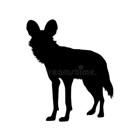 African Wild Dog Lycaon Pictus Standing Against White Background Ai
