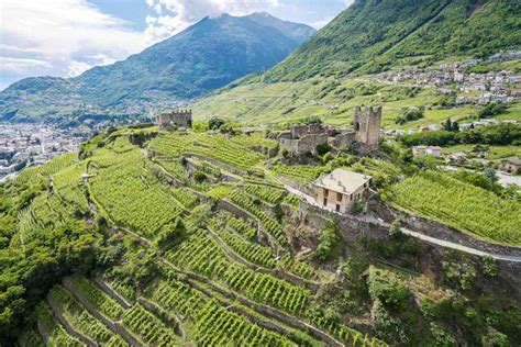 Valtellina Wine Festival 2023 Alla Scoperta Dei Sapori Autentici Di Un