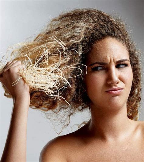 Olive oil can help soften your hair and seal brittle ends. Olive Oil For Hair: Is It Effective? | Olive oil hair, Dry ...