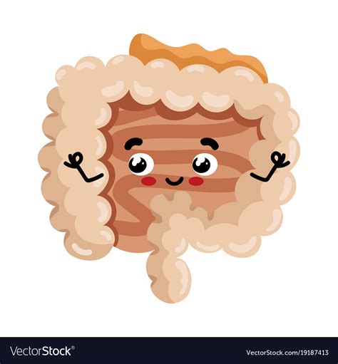 Human Intestine Cute Cartoon Character Royalty Free Vector