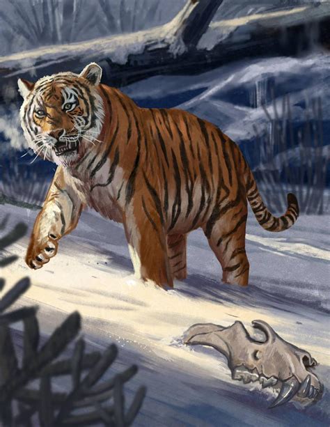 A Siberian Tiger Passes By The Skull Of An Old Rival The Cave Lion