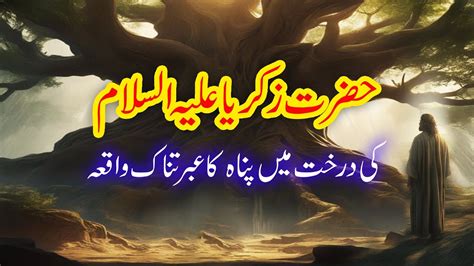 Hazrat Zakariya Ka Waqia Hazrat Zikriya Ki Darakhat Main Panah Youtube