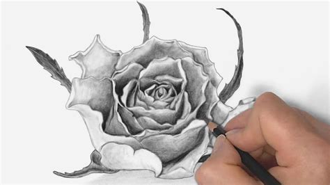 Hoontoidly Rose Drawings In Pencil Images