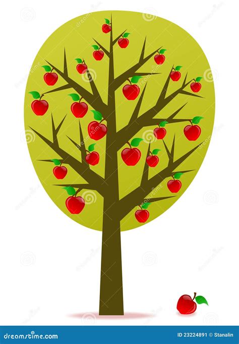 Apple Tree Vector Stock Vector Illustration Of Nature 23224891