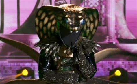 The fourth season of the german singing competition the masked singer premiered on february 16, 2021 on prosieben. Serpent The Masked Singer 2020 "Cool" Group B Finals ...
