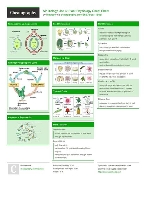 Ap Biology Unit 4 Plant Physiology Cheat Sheet By Hlewsey