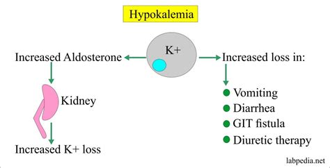 Electrolytes Part 1 Potassium K Blood