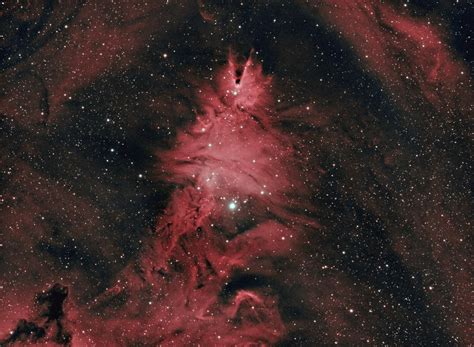 Ngc 2264 Cone Nebula Christmas Tree Cluster 5 Hours Of Exposure Time Oc