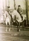 Maar dan bij de profs, waaronder tom dumoulin en mike teunissen aan de start. | Stichting Legerplaats Soesterberg 1939-1945