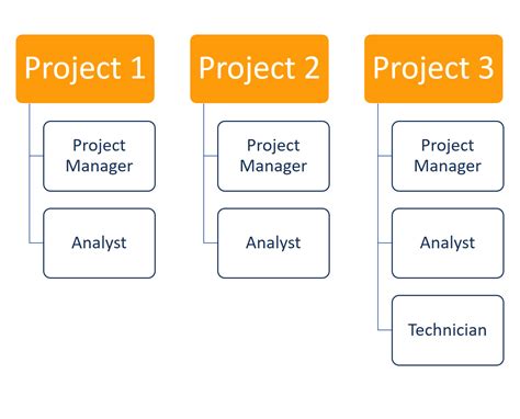 The 4 Types Of Project Organizational Structure