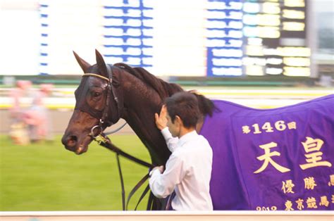 Maybe you would like to learn more about one of these? No KEIBA,No life:第146回天皇賞･秋 写真館 - livedoor Blog（ブログ）