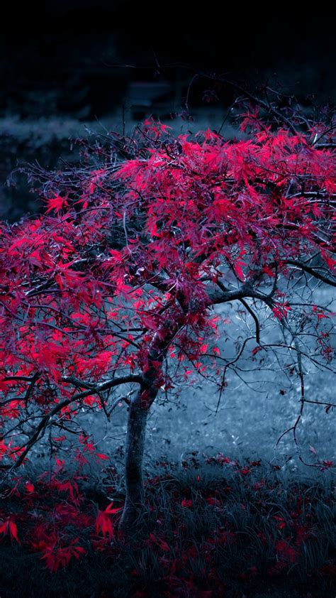 Tree Leaves Fog Light Purple Autumn Iphone 6 Plus