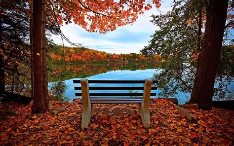 1920x1200 Bench Autumn River 1200p Wallpaper Hd Nature 4k Wallpapers